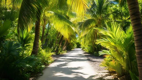 Lush Green Path with Palm Trees