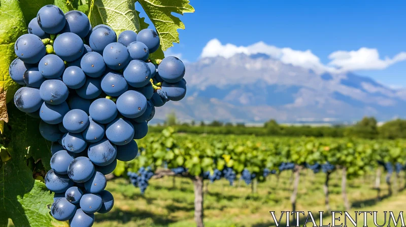 Grapes on the Vine with Mountain Backdrop AI Image