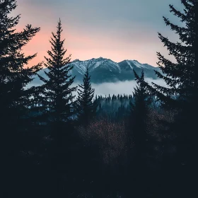 Misty Mountain Sunset with Forest Silhouettes