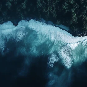 Aerial Seascape of Forest Meeting Ocean
