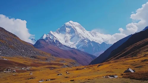 Snowy Mountain and Golden Field View