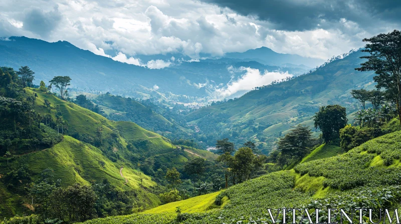 Verdant Mountains Under Cloudy Sky AI Image