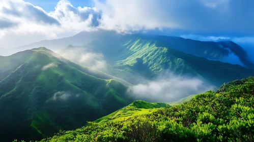 Mist Shrouded Mountain Peaks