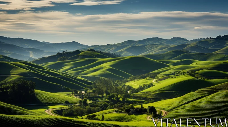 Captivating Green Hills: A Play of Light and Shadows AI Image