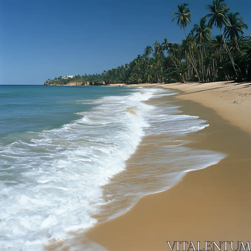 Tropical Beach Paradise with Gentle Waves AI Image