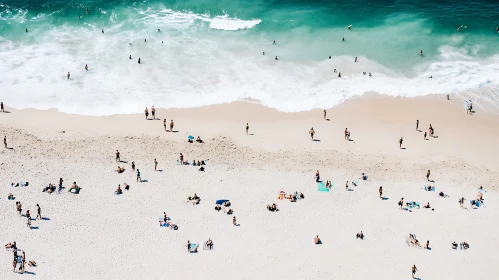 Coastal Serenity: A Day at the Beach