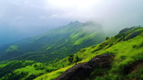 Lush Green Mountain Landscape