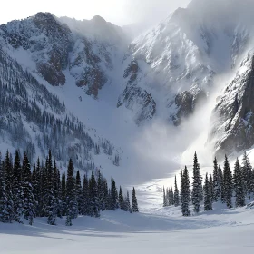 Winter Mountain Scene with Pine Trees