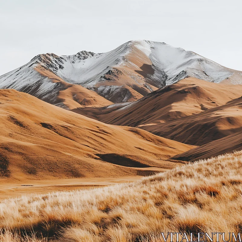 Picturesque Mountain Range with Golden Grass AI Image