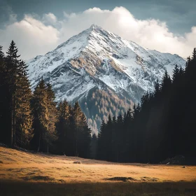 Alpine Mountain Scenery with Golden Field