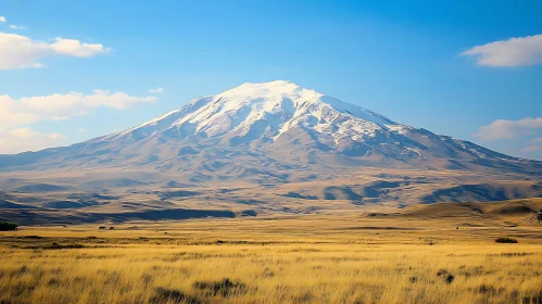 Mountain Landscape with Snow and Field