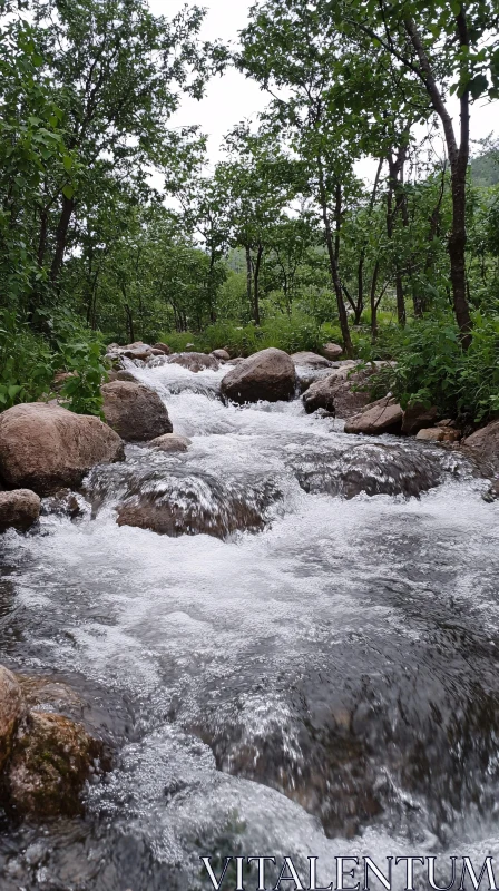 AI ART Serene River in a Forest Setting