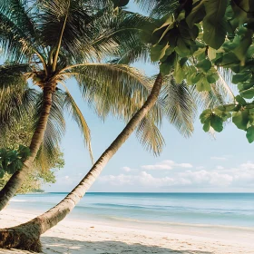 Seascape View with Palm Trees on Sandy Beach