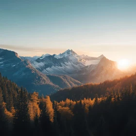 Snowy Peaks and Forest View