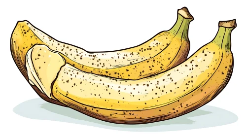 Two Yellow Bananas Vector Art