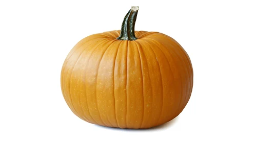 Orange Pumpkin Still Life