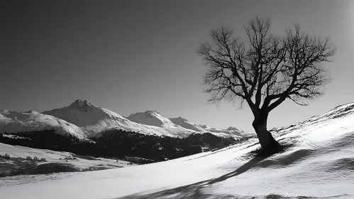 Monochrome Mountain Range with Bare Tree