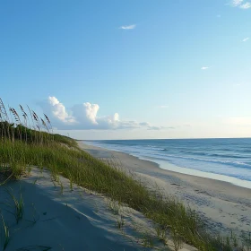 Coastal Tranquility: Beach and Ocean Scenery