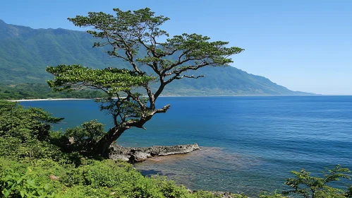 Seaside Tree Landscape with Mountain Backdrop