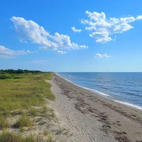 Coastal Tranquility: A Beach Day Dream