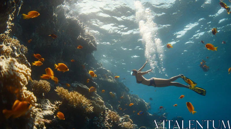 Woman Snorkeling in a Tropical Coral Reef AI Image