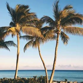 Coastal Palm Paradise
