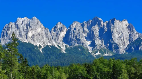 Snow-Capped Peaks and Green Forest