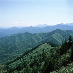 Lush Green Mountains Landscape