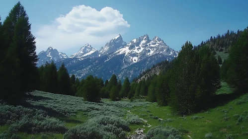 Majestic Mountains and Lush Valley View