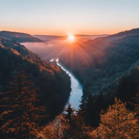 River Forest Sunrise