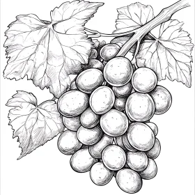 Monochrome Grape Cluster Art