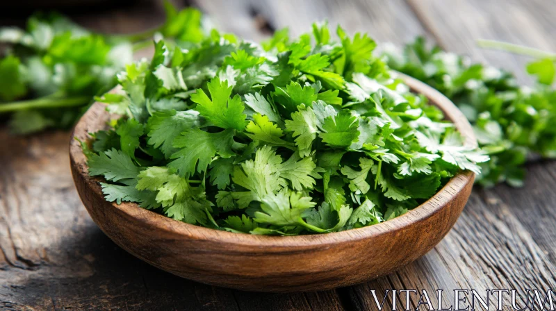 Bowl of Fresh Green Cilantro Herbs