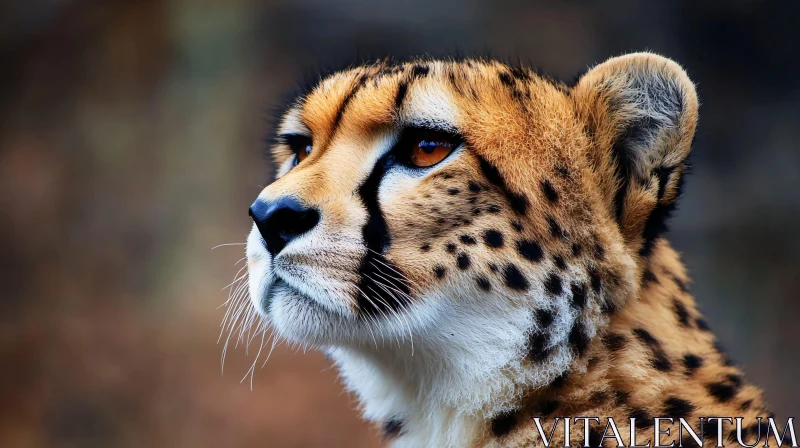 Cheetah Profile - Amber Eyes Gaze AI Image