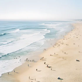 Coastal Serenity: A Day at the Beach