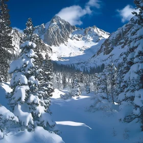 Winter Mountain Landscape with Snow Covered Trees