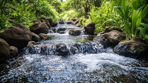 Serene River Landscape with Verdant Foliage