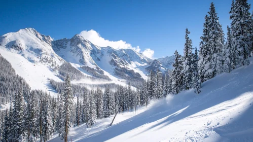 Winter Mountain Scene with Snow-Covered Trees