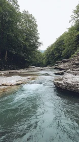 Peaceful River in Forest Setting