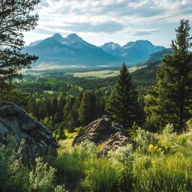 Scenic Mountain Vista with Lush Forests