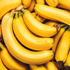 Abundance of Ripe Bananas Still Life