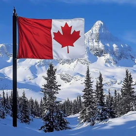 Winter Scene with Canadian Flag