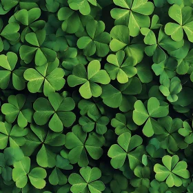 Lush Green Clover Patch