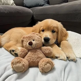 Golden Retriever Puppy Relaxing with Plush Toy