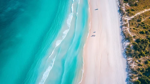 Coastal Serenity: Aerial Beach View
