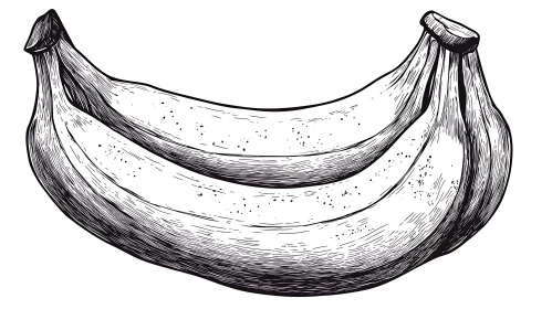 Elegant Banana Fruit Line Art