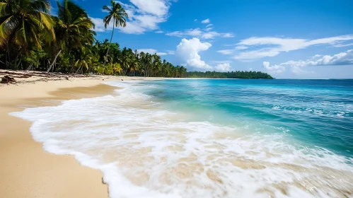 Paradise Beach with Turquoise Water and Palms