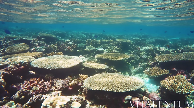 AI ART Underwater Coral Garden