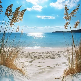 Seaside Serenity with Footprints on Sand