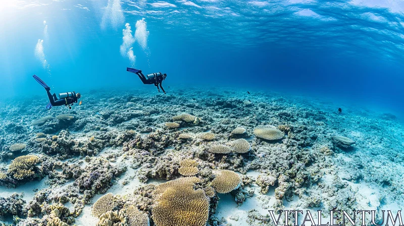 Scuba Divers in a Coral Reef AI Image