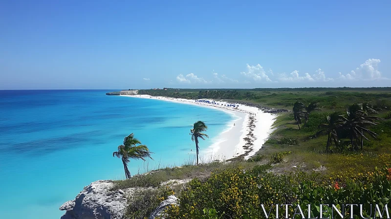 Tropical Beach Paradise with Palm Trees AI Image